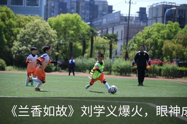 《兰香如故》刘学义爆火，眼神成古偶天花板，观众更挑了