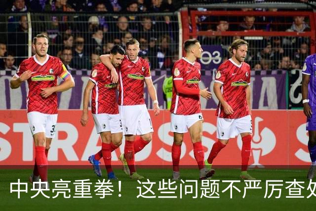 中央亮重拳！这些问题不严厉查处的，直接追究地方领导责任！