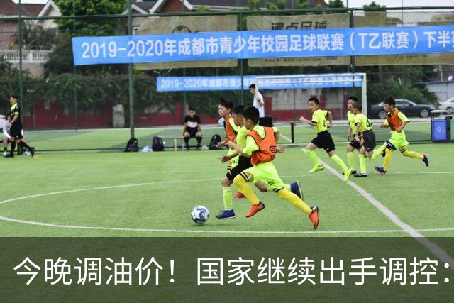 今晚调油价！国家继续出手调控：加满一箱将多花14元