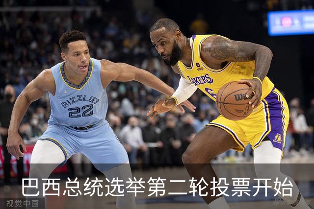 巴西总统选举第二轮投票开始