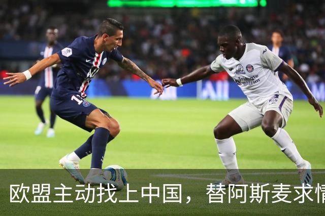欧盟主动找上中国，替阿斯麦求情：中方别管制了，真顶不住