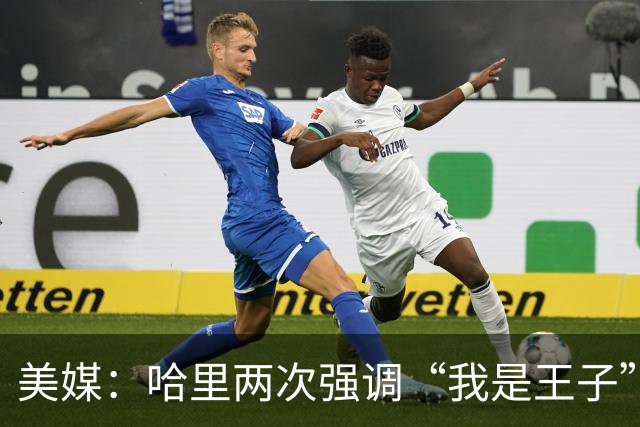 美媒：哈里两次强调“我是王子”，而威廉王子则称“直呼其名即可”