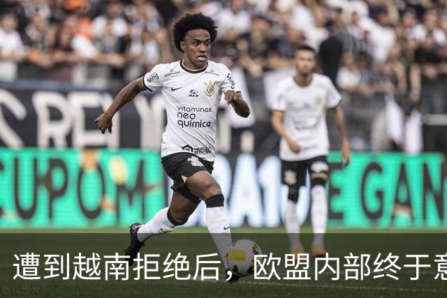 遭到越南拒绝后，欧盟内部终于意识到：什么叫 “中国力量”！